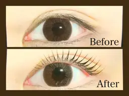 ✨️ダメージレスまつ毛カール 【コーティングトリートメント付】