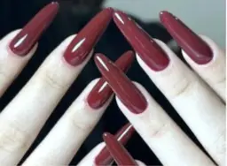 【HAND/オフ無料】チップとスカルプ長さだしワンカラー　マグネット＋1000円