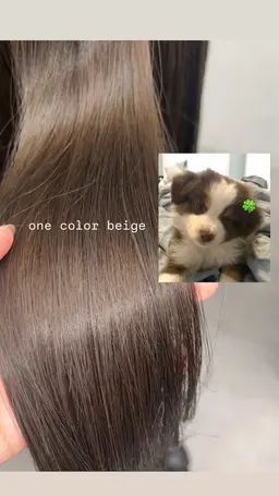【ブリーチなし】W color+cut+treatment