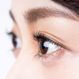 4/3(金)募集枠→2名 日時限定※募集時間は詳細に記載 東銀座【0円/ラッシュリフト:まつ毛パーマ】