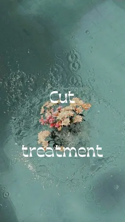 <営業後限定❗️>似合わせレイヤーカット＋髪質改善トリートメント