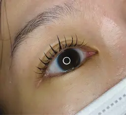 【フラットラッシュ80本 】オフあり