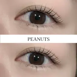 【レディース限定】《2月28日までの特別価格》眉WAX＋眉カラー＋似合わせまつげパーマ