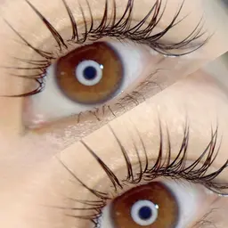 フラットラッシュ100本