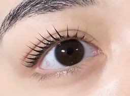 まつ毛パーマ ストレートorカール《6週間以内5500円/以降6500円》