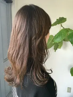 フルカラー＋トリートメント（4step）