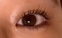 セラムラッシュリフト(上のみ)