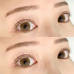 〈TR付き〉パリジェンヌラッシュリフト