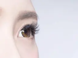 フラットラッシュ 80本