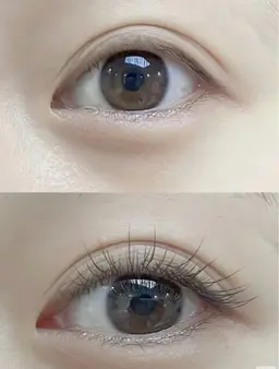 フラットラッシュ100本