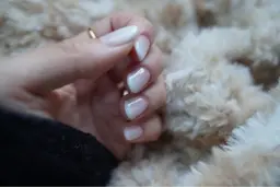 ワンカラー、グラデーションオフあり