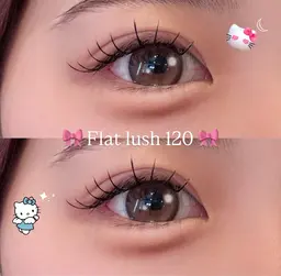 フラットラッシュ上下🐈‍⬛(120/40)コーティング付
