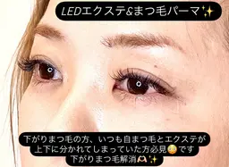 👩🏼‍🎨🕊️LEDエクステパーマでまつ毛上向き ✨フラットラッシュ120本✨🌈カラー変更＋500円🌈✨