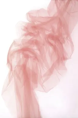 🎀カラーグラデーションorフレンチ