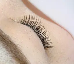 LED120本(フラットラッシュ)