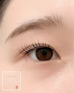 【minimo限定💐】パリジェンヌラッシュリフト¥4500💚※Google口コミ投稿いただける方限定💚