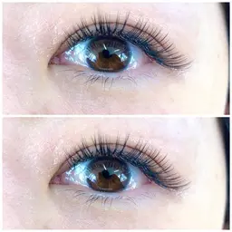 限定価格🌹バインドロック80束🌹［亀戸／錦糸町］