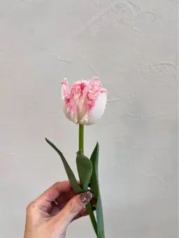 ポイントヘアアレンジ（10分​〜​15分）　暑い毎日におすすめ♪