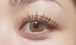 パリジェンヌラッシュリフト＋ケラチントリートメント付き🫧