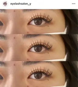 セーブルラッシュ付け放題(カールJ/C/D)(太さ0.15ミリor0.2ミリ)(長さ8-14ミリ)