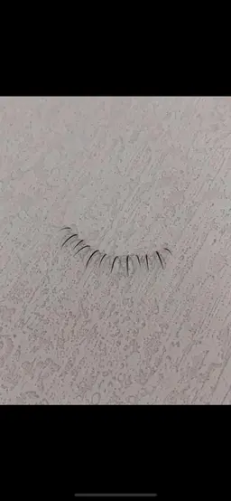 【下まつ毛単品価格】フラットラッシュ30本