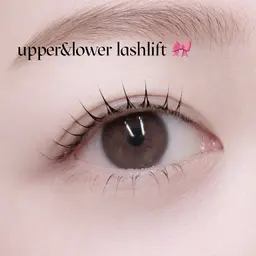 【新規】デザインラッシュリフト 🎀¥5600