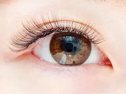 【大人気♪ボリュームラッシュ】総本数約480本！ボリュームマツエクで劇的印象チェンジ120束！ご新規様はオフ無料！