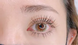 フラットラッシュ120本