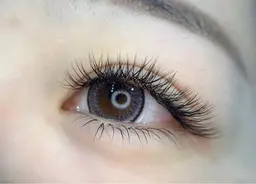 🦋YYボリュームラッシュ🦋120束(ボリューム480本相当)