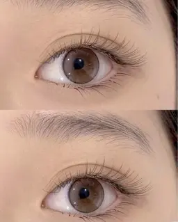 フラットラッシュ120本