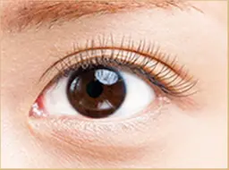 【平日限定】マツエク　80本