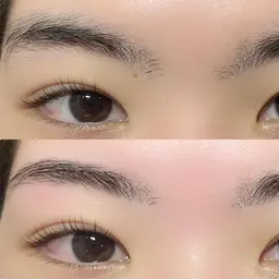 【美眉スタイリング】アイブロウWAX脱毛¥4660