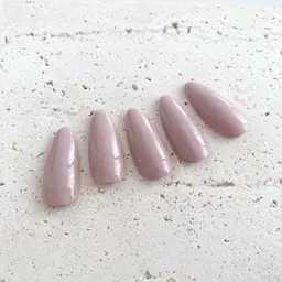 ワンカラー【オフなし】