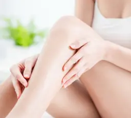 全身脱毛(女性)