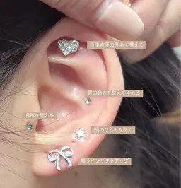 \SNS話題/耳ツボジュエリー両耳10粒💎✨