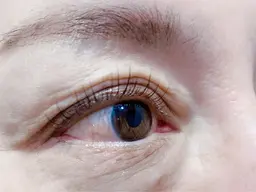 🤍パリジェンヌラッシュリフト(上のみ)🤍