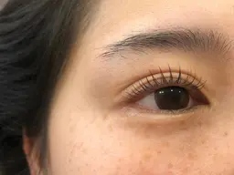 ラッシュリフト（まつ毛パーマ）※トリートメント付き