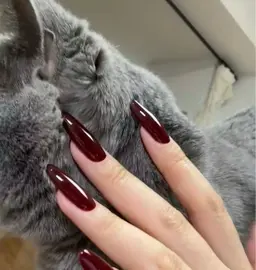 長さだしワンカラー(オフなし)