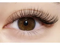 【限定モデル】最高級フラットラッシュ【つけ放題】★オフ込★コーティング付♪