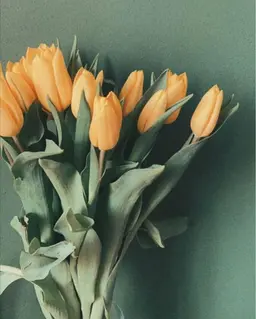 マツエク🌟オフのみ・アイシャンプー・トリートメント🌟