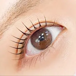 【1月限定特別価格🎍】パリジェンヌorまつげパーマ&眉毛ワックス