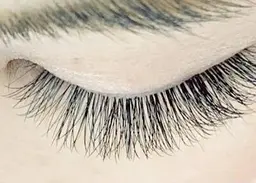 ⭐ボリュームラッシュ(2D～4D)300本☆コーティング込み！