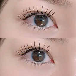 【ミニモ限定価格】フラットラッシュ120本 🎀