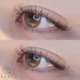 高級セーブルつけ放題