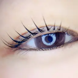 2回目以降🌿似合わせマツ毛パーマ+ナチュラルふわ眉WAX