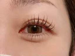 下まつげパーマ(他メニュー併用3300円)