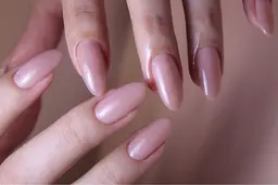 ワンカラー1色のみ【ソフトジェルオフ込み】