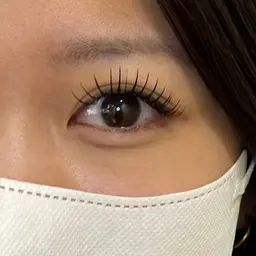 【LED】フラットラッシュ100~120本