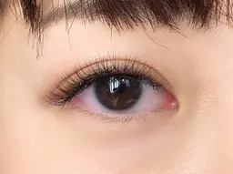 🌟minimo限定🌟ご新規様限定🌟フラットラッシュ 80本 コーティングつき✨オフ無料