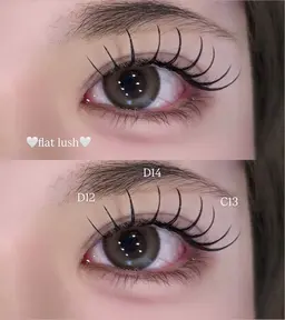 当日ご新規様限定🎀✧︎*。フラットラッシュ【140本￥4,990 160本¥5,500】【オフ別途】